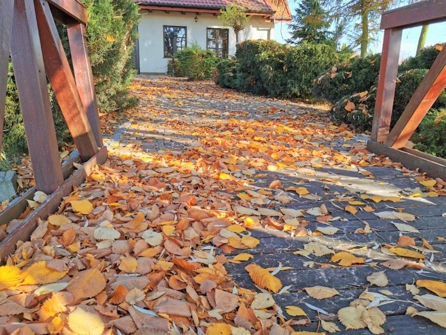 Dobry Klimat Uniejow Exteriör bild